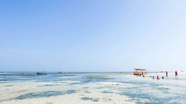 Top Places to Visit in Malindi: Your Complete Travel Guide